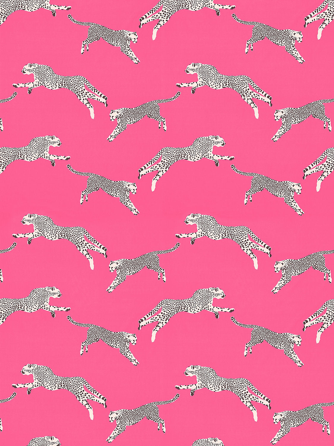 Cheetahs Leaping Beige Wallpaper